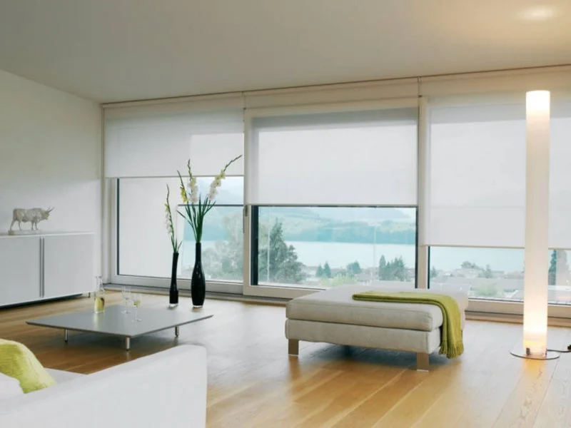 Cortinas y rollers